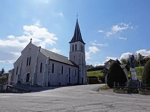 AGENT IMMOBILIER vaulx